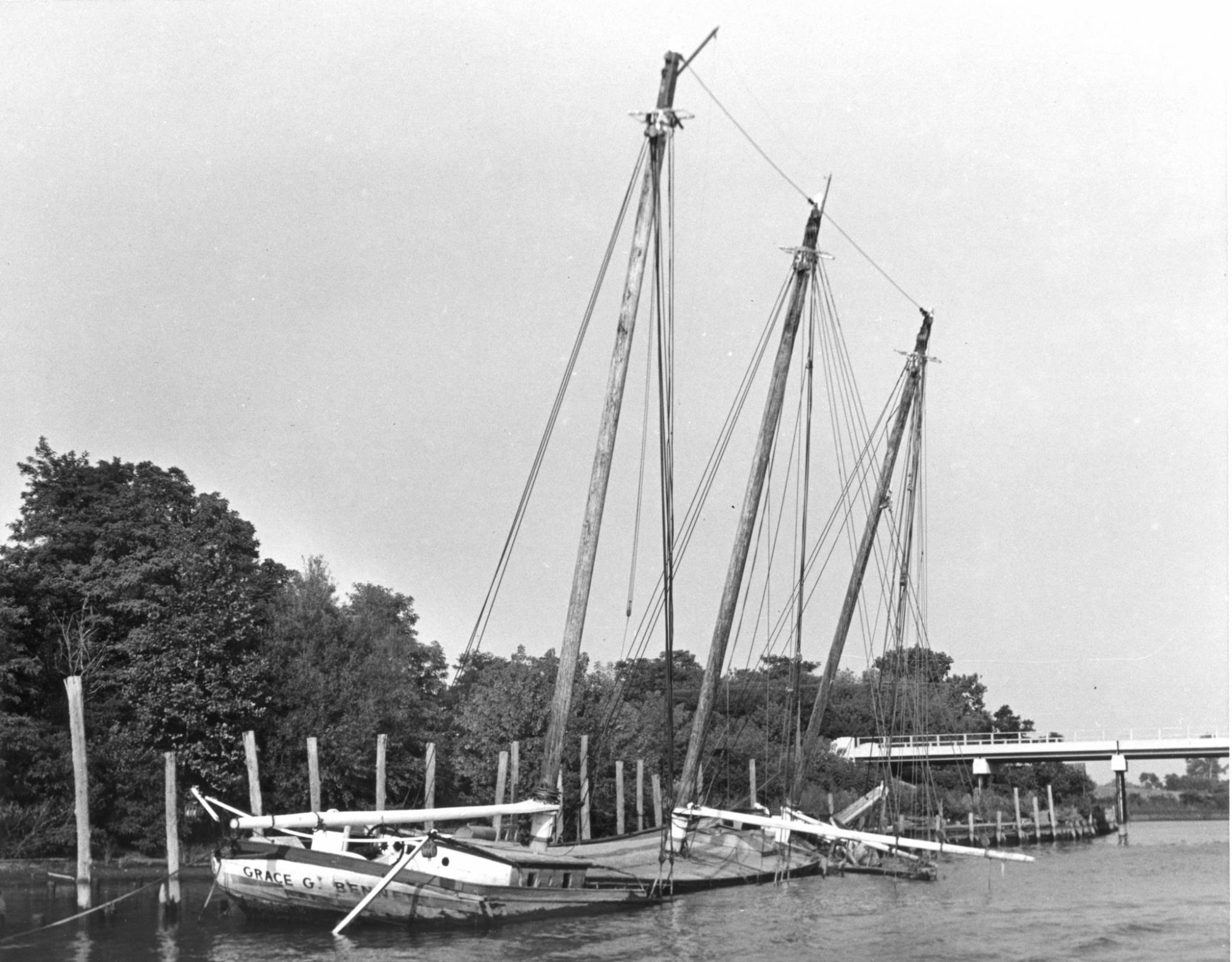 CBMM catalog image